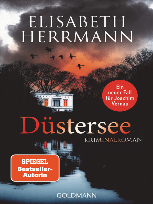 Title details for Düstersee by Elisabeth Herrmann - Wait list